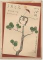 Musical score Blue Birds No.68