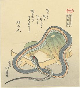 A Snake and Two Melons【Reproduction】