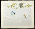 Birds Language in The Snow