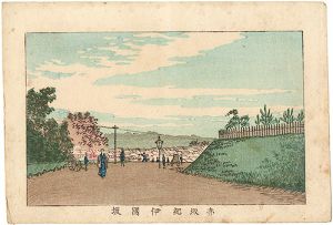 東京真画名所図解　赤坂紀伊国坂