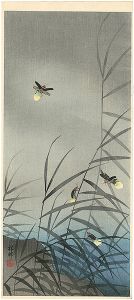 小原古邨（祥邨）「蛍」