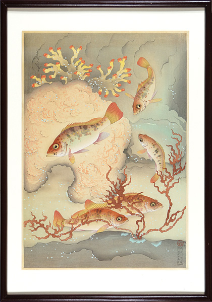 大野麥風「大日本魚類画集　メバル」