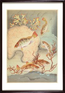 大野麥風「大日本魚類画集　メバル」