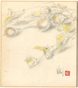 國領經郎「自筆画色紙　からすうり」