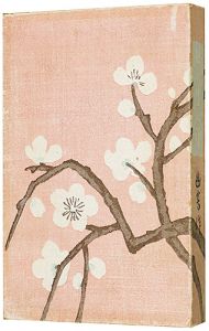 女の生命（前編）