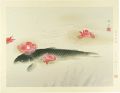 Camellia and carp
