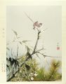 Pine,bamboo and plum