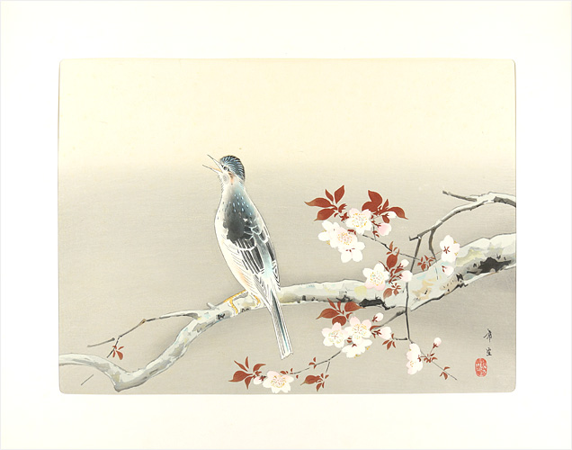 児玉希望「春晴」