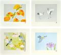 Four seasons of birds