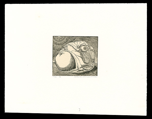 Karasawa Hitoshi “Head
”