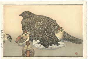 吉田遠志「雷鳥」