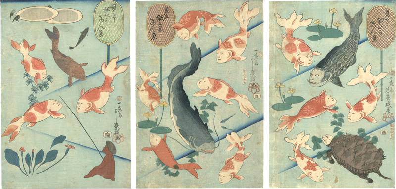 芳幾「見たて似たかきん魚」