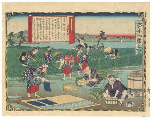 広重三代「大日本物産図会　近江国青花紙製図」
