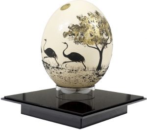 Fukui Kotaro / Eggs of ostrich