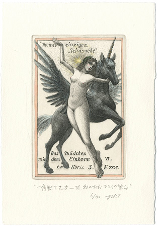 Hayashi Yukiko “Meiner einzigen Sehnsucht Das Madchen mit dem Einhorn VI.”