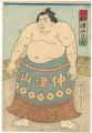 Sumo-e  / Tokyo Nakatsuyama Ta......
