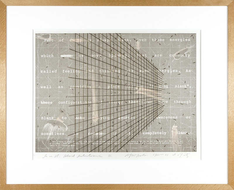 Arakawa Shusaku “"Is as It:Blind Intentions" III”