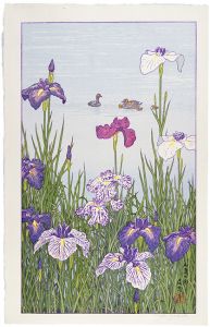 Yoshida Toshi / Color of Early Summer