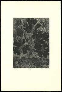 Wakuta Toshiyuki / Afternoon