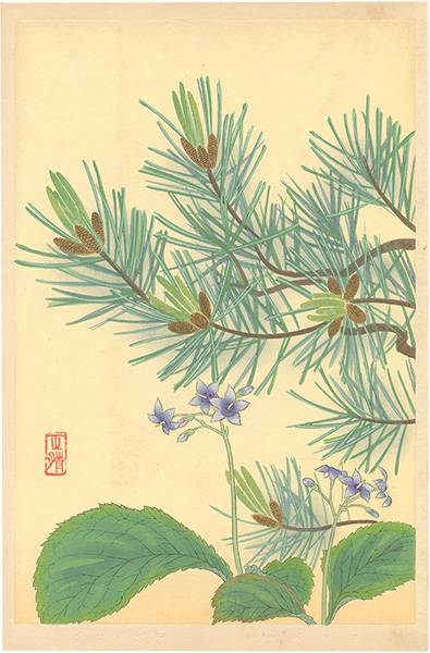 井上正晴「高山植物図譜　イワタバコ・ハイマツ」