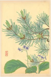 井上正晴「高山植物図譜　イワタバコ・ハイマツ」
