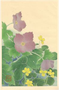 井上正晴「高山植物図譜　シラネアオイ・キバナノコマノツメ」