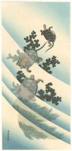 Tortoises【Reproduction】