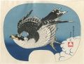 Hawk【Reproduction】