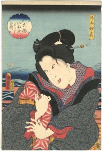 Kunisada II / The Book of the 8 Dog Heroes / Toyama Myoshin [八犬伝犬の草紙之内　外山妙真]