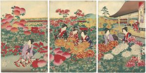 Chikanobu / Events in Edo Throughout the Year on Gold-speckled Paper / Scenes from a Chrysanthemum Festival [江戸砂子年中行事　重陽之図]