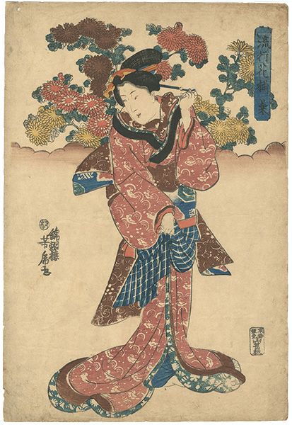 芳房「流行花揃　菊」