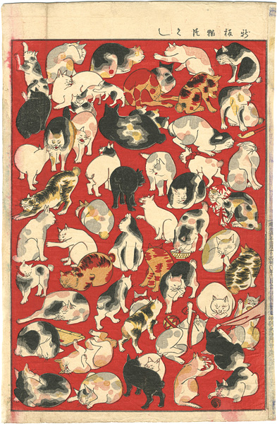 Unknown “Newly Published: Collection of Cat”