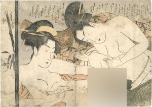 Eiri / Shunga [婦美の清書]