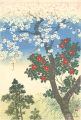 Cherry blossoms and Camellia