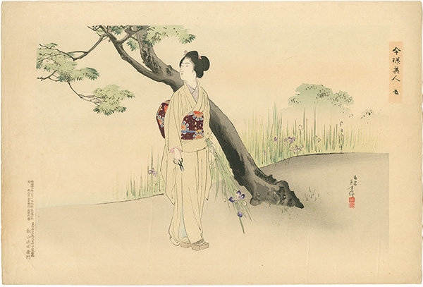 年方「今様美人 五　菖蒲」