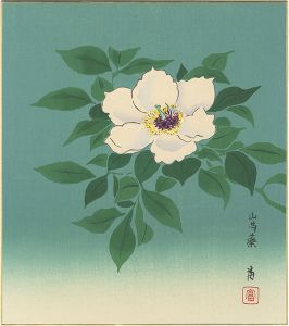徳力富吉郎「木版画色紙　山芍薬」