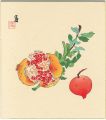 Punica granatum(tentative titl......