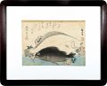 A Series of Fish Subjects / Fl......