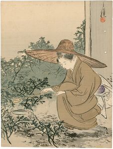 尾形月耕「木版口絵」