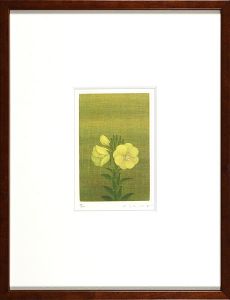 まつよい草