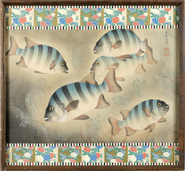 大野麥風「大日本魚類画集　イシダイ」