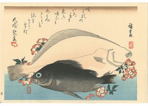 広重初代「魚づくし　ひらめ・めばるに桜【復刻版】」