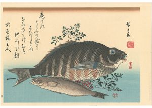 A Series of Fish Subjects / Barred knifejaw, Greenling and Heavenly bamboo【Reproduction】