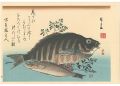 A Series of Fish Subjects / Ba......