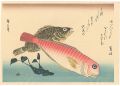A Series of Fish Subjects / Ti......