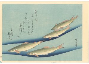 A Series of Fish Subjects / Sweetfish(Ayu)【Reproduction】