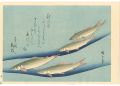 A Series of Fish Subjects / Sw......