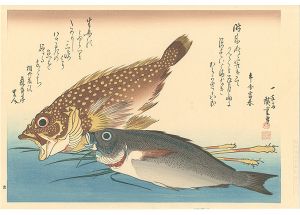 A Series of Fish Subjects / Scorpionfish, Chicken grunt and Ginger【Reproduction】
