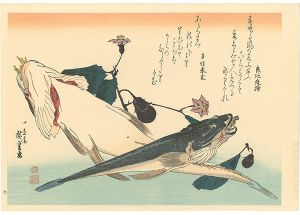 A Series of Fish Subjects / Flathead and Eggplant【Reproduction】