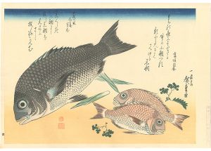 A Series of Fish Subjects / Black sea bream, Small sea bream and Japanese pepper【Reproduction】